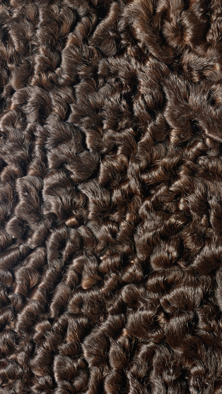 Black and Brown Fur Textile. Wallpaper in 720x1280 Resolution