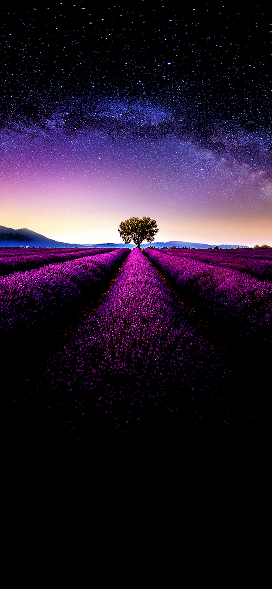 Morado, Entorno Natural, Paisaje Natural, Violeta, Magenta. Wallpaper in 1125x2436 Resolution