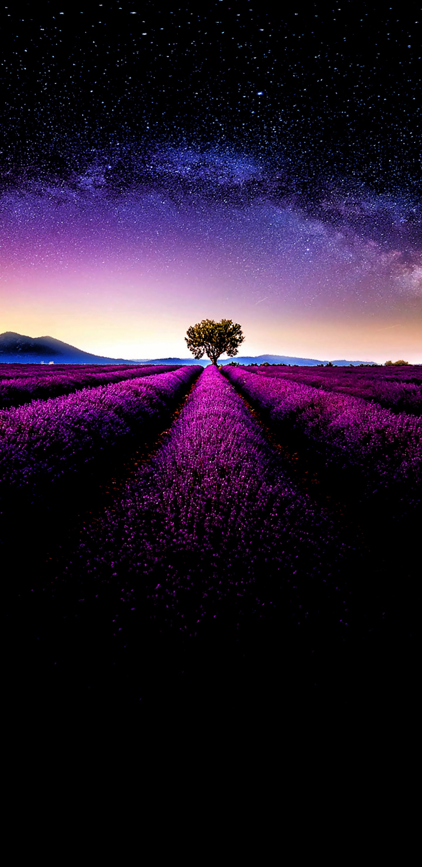 Morado, Entorno Natural, Paisaje Natural, Violeta, Magenta. Wallpaper in 1440x2960 Resolution