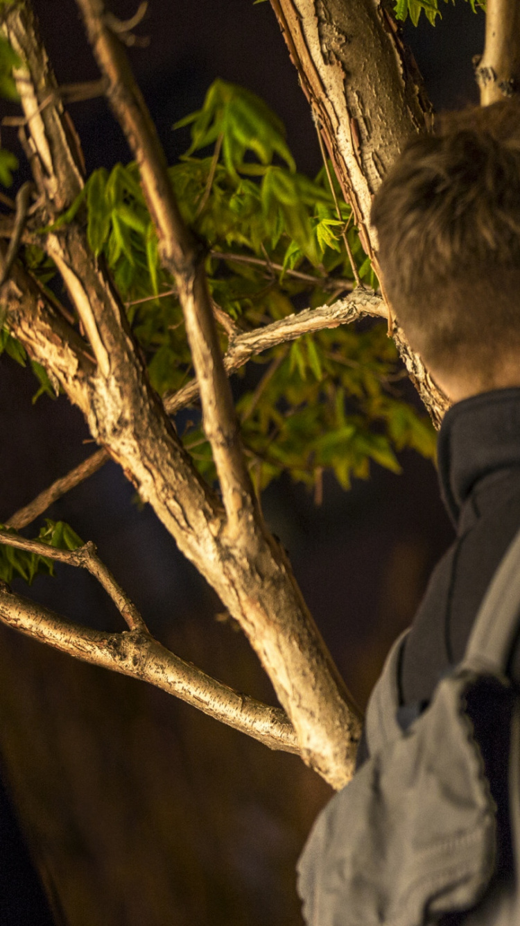 Mujer en Abrigo Negro de Pie Junto al Hombre en Abrigo Marrón. Wallpaper in 750x1334 Resolution