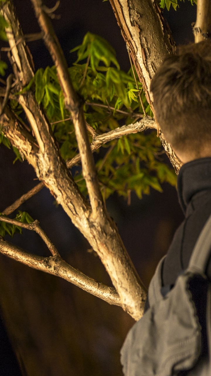 Frau im Schwarzen Mantel Steht Neben Mann im Braunen Mantel. Wallpaper in 720x1280 Resolution