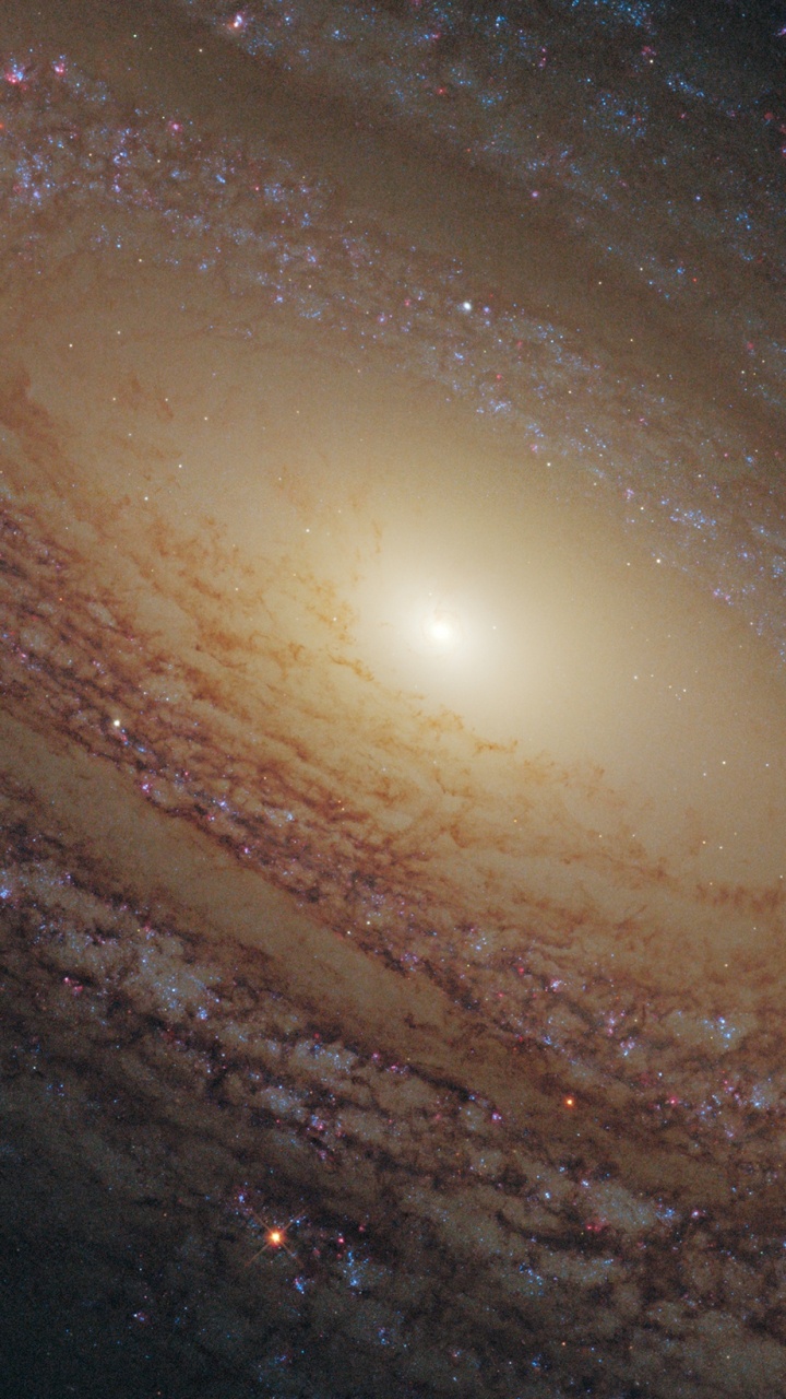 Galaxie Ngc 2841, Ngc2841, Galaxie, Galaxie Spirale, Galaxie Spirale Floconneuse. Wallpaper in 720x1280 Resolution