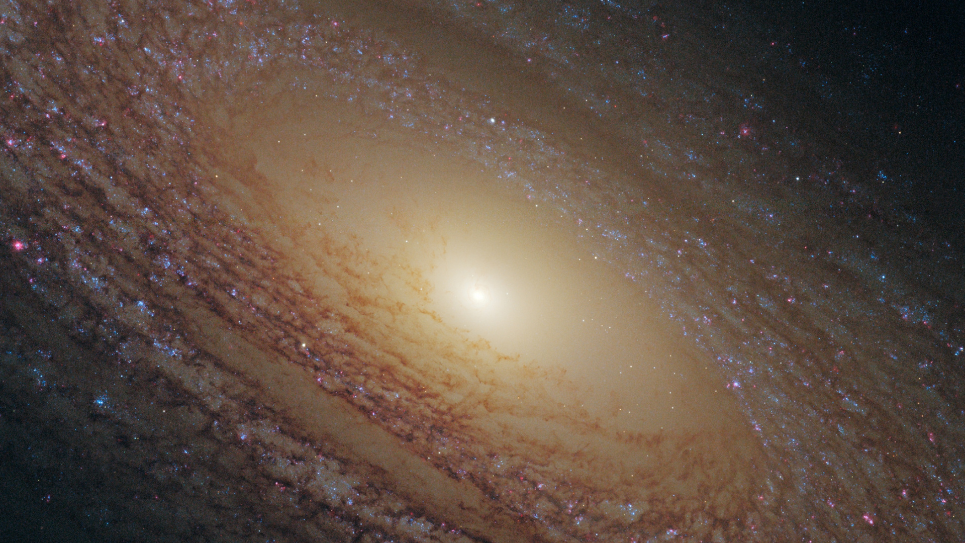 Galaxie NGC 2841, NGC 2841, Galaxy, Spiralgalaxie, Flockige Spiralgalaxie. Wallpaper in 1920x1080 Resolution