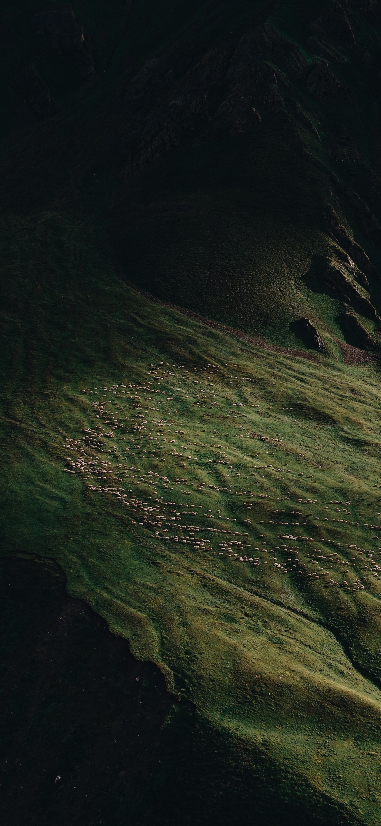 Natur, Erde, Wasser, Holz, Farbtöne Und Schattierungen. Wallpaper in 1242x2688 Resolution