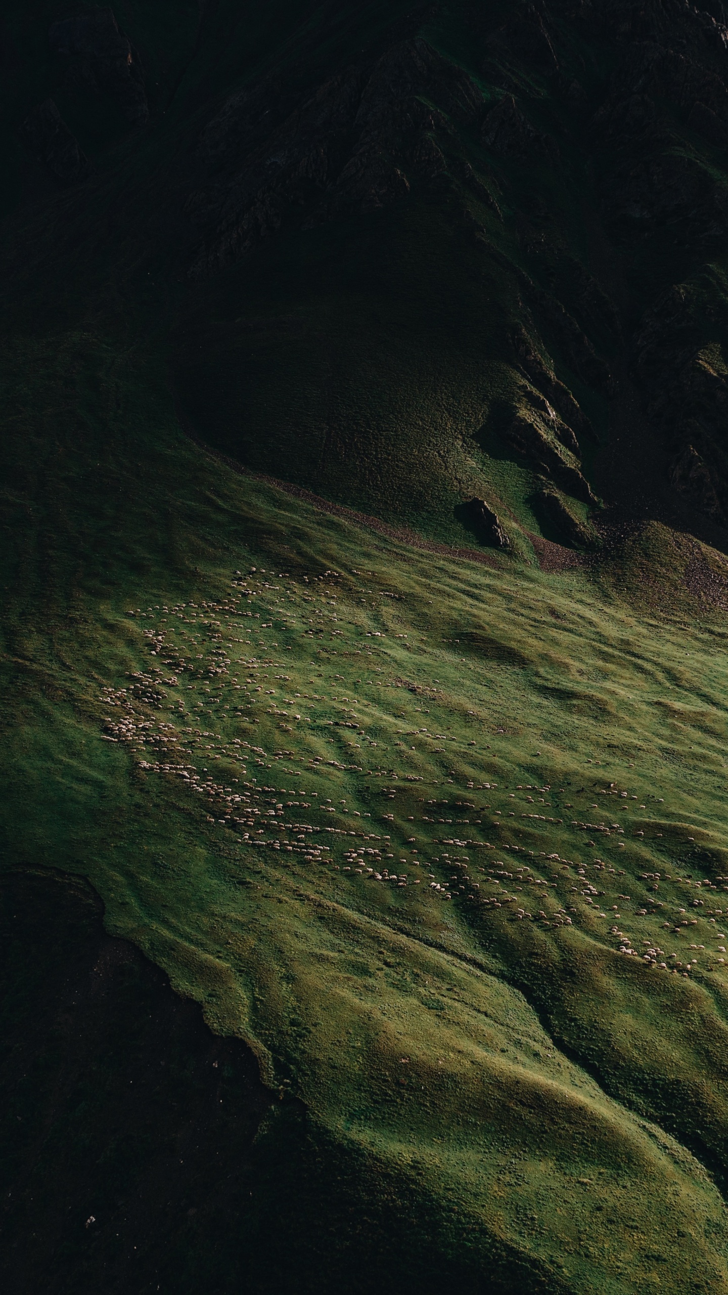 Natur, Erde, Wasser, Holz, Farbtöne Und Schattierungen. Wallpaper in 1440x2560 Resolution