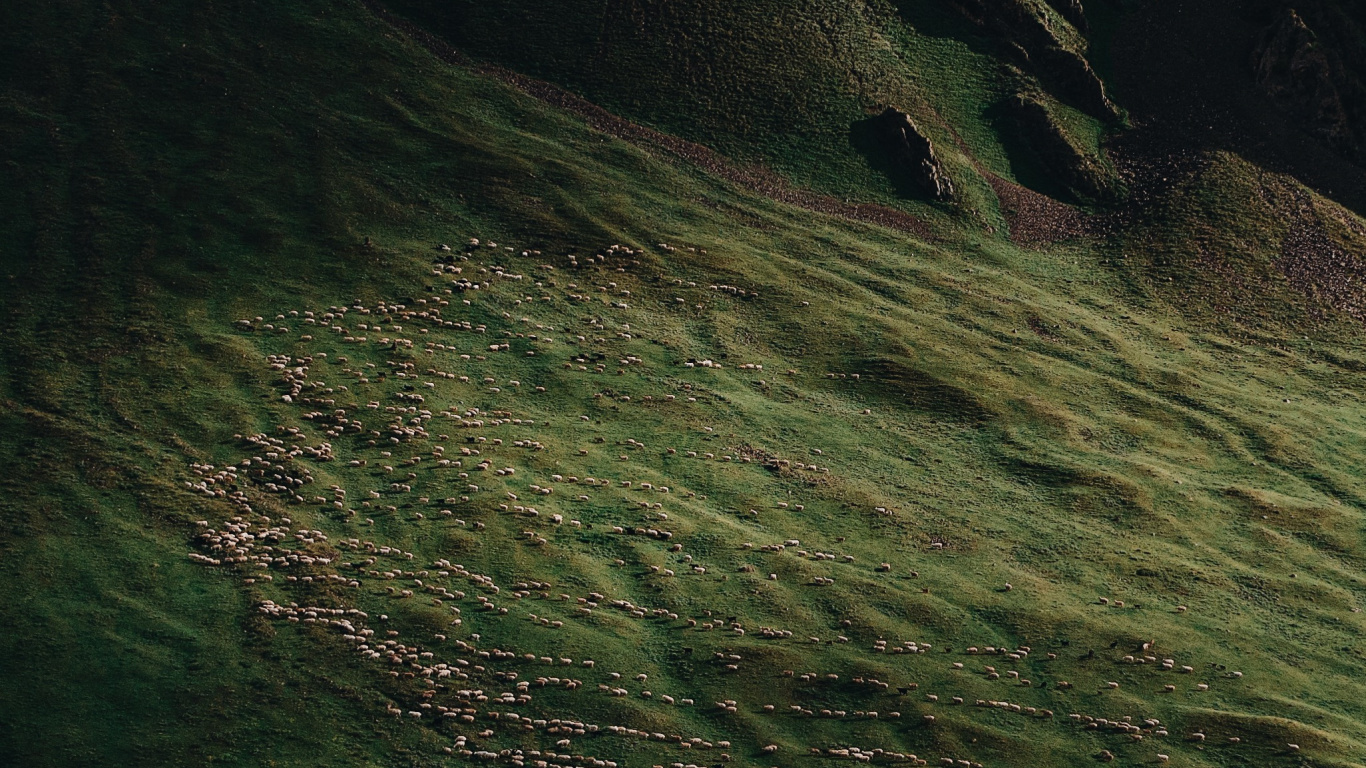 Nature, Terre, Eau, de Teintes et de Nuances, Prairie. Wallpaper in 1366x768 Resolution