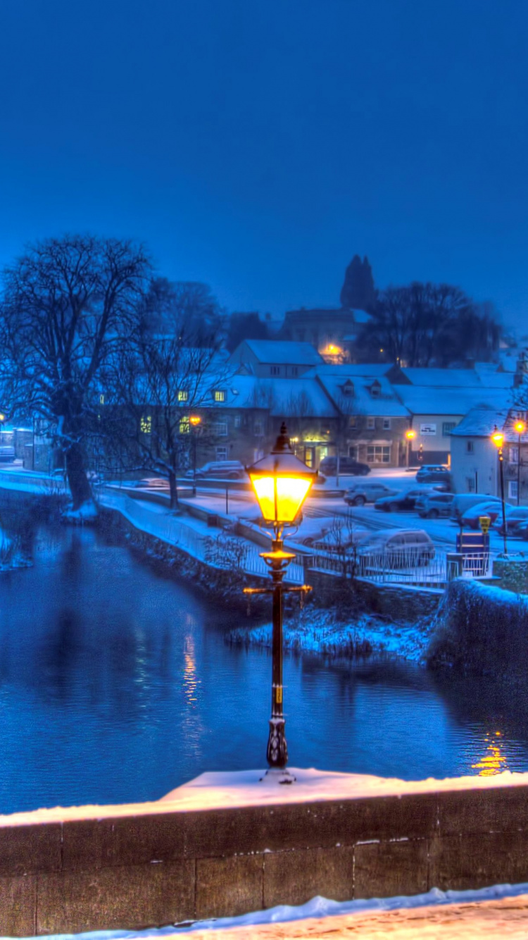 Kahle Bäume in Der Nähe Von Gewässern Während Der Nacht. Wallpaper in 750x1334 Resolution