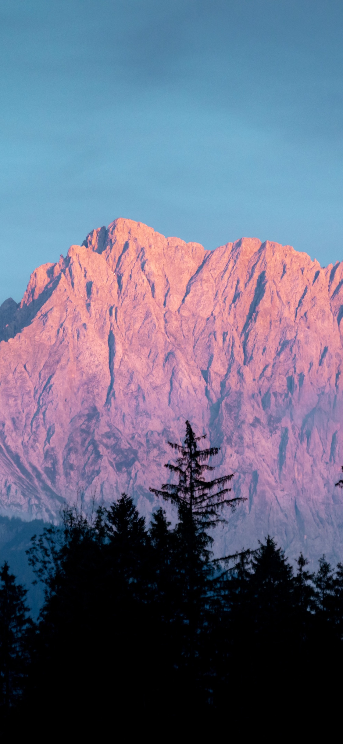 Mountain, Plant, Tree, Larch, Natural Landscape. Wallpaper in 1125x2436 Resolution