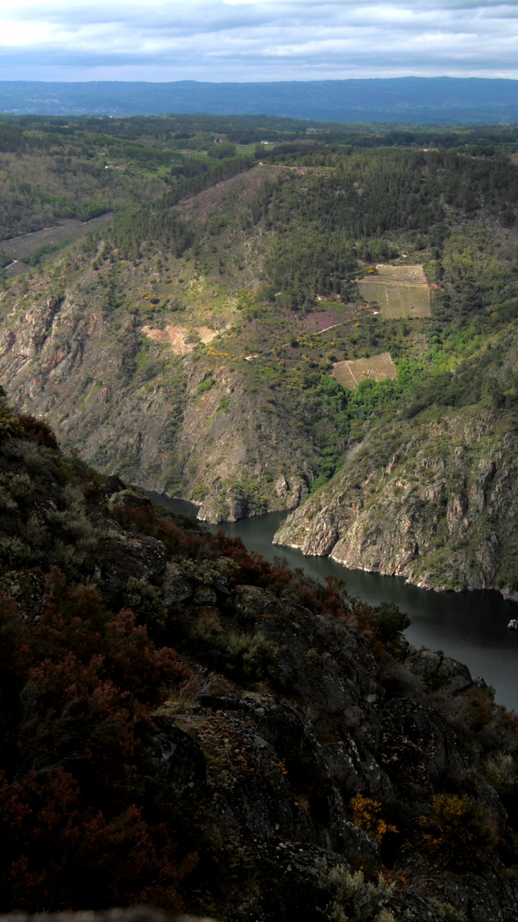 Vue Aérienne Des Montagnes Vertes et Brunes. Wallpaper in 750x1334 Resolution