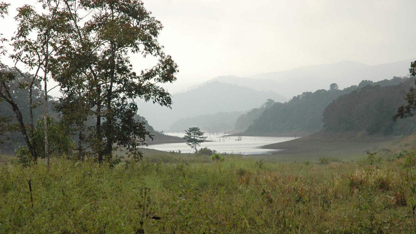 帖卡迪, 公园, 水资源, 高地, 植被 壁纸 1366x768 允许