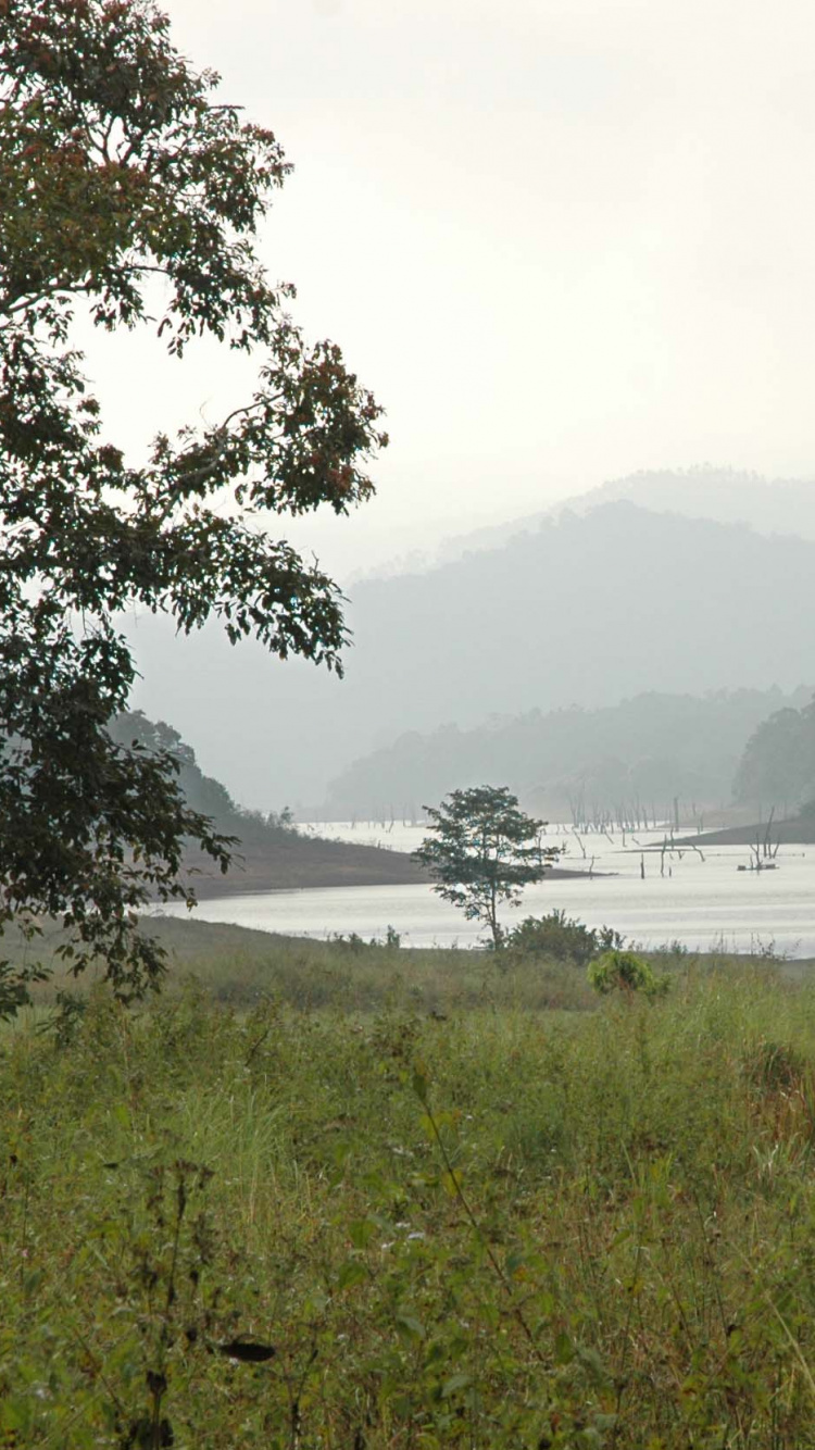 帖卡迪, 公园, 水资源, 高地, 植被 壁纸 750x1334 允许