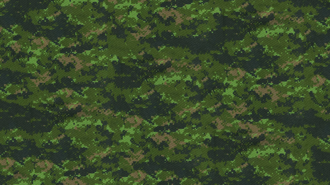 Green Trees on The Forest. Wallpaper in 1280x720 Resolution