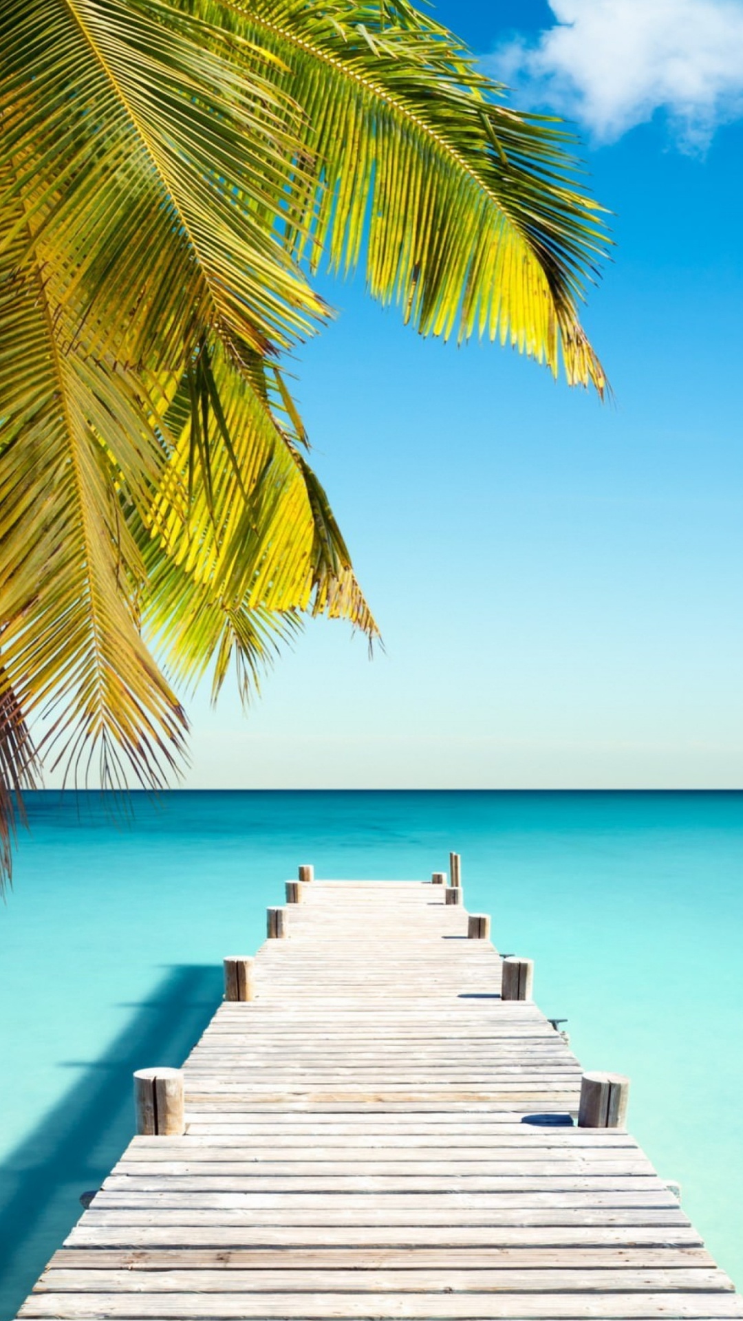 Quai en Bois Marron Près D'un Palmier Vert Pendant la Journée. Wallpaper in 1080x1920 Resolution