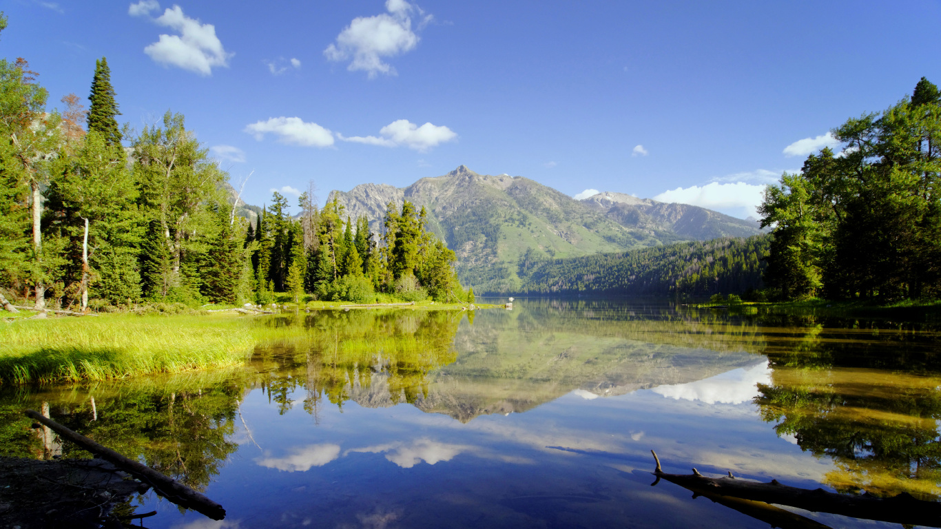 Grüne Bäume in Der Nähe Des Sees Unter Blauem Himmel Tagsüber. Wallpaper in 1366x768 Resolution