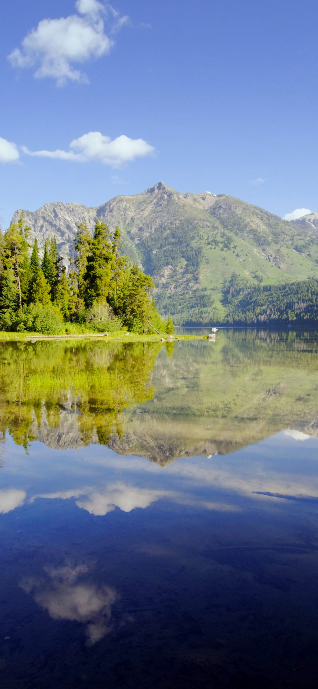 Green Trees Near Lake Under Blue Sky During Daytime. Wallpaper in 1242x2688 Resolution