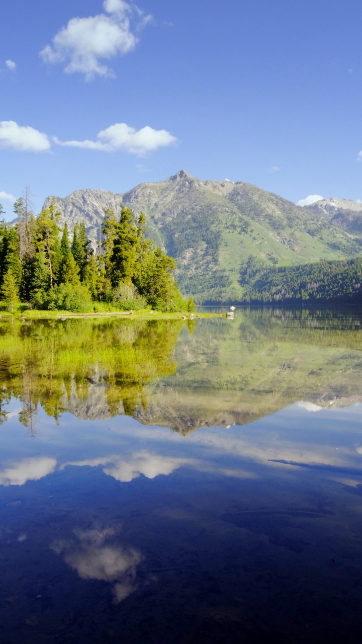 Green Trees Near Lake Under Blue Sky During Daytime. Wallpaper in 720x1280 Resolution