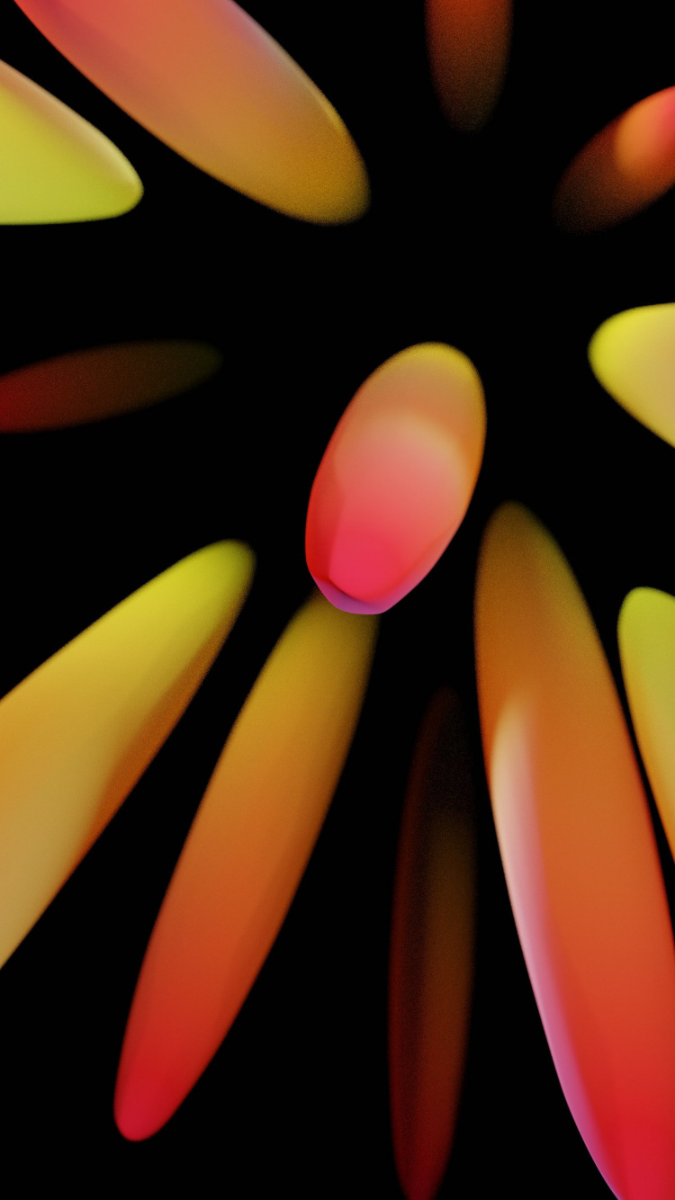 Close Up, Orange, Petal, Finger, Material Property. Wallpaper in 750x1334 Resolution