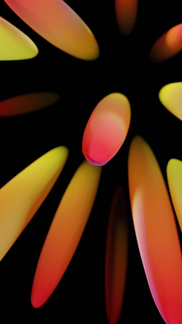 de Cerca, Naranja, Pétalo, Dedo, Material Propiedad. Wallpaper in 720x1280 Resolution