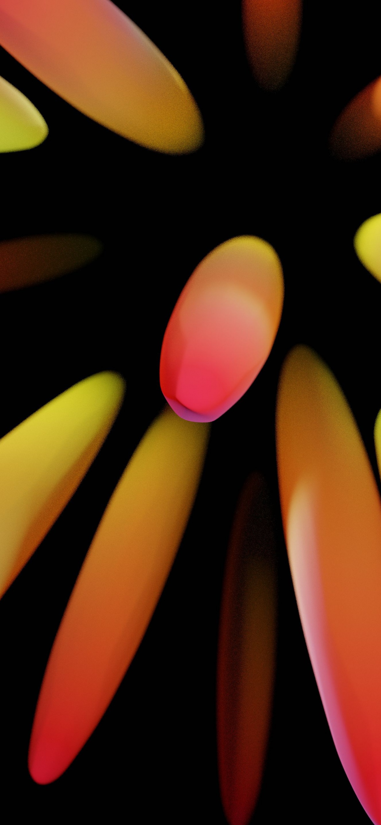 Fermer, Orange, Pétale, Doigt, Propriété Des Matériaux. Wallpaper in 1242x2688 Resolution