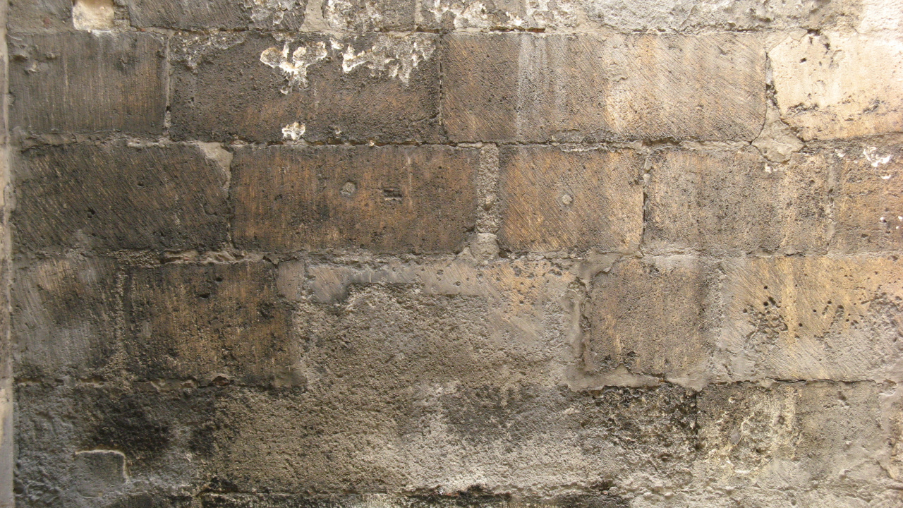 Mur de Béton Vert et Marron. Wallpaper in 1280x720 Resolution