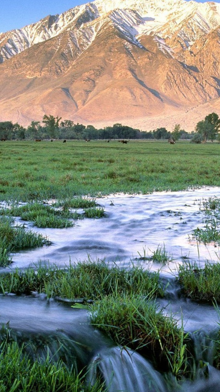 Green Grass Field Near Brown Mountain During Daytime. Wallpaper in 720x1280 Resolution