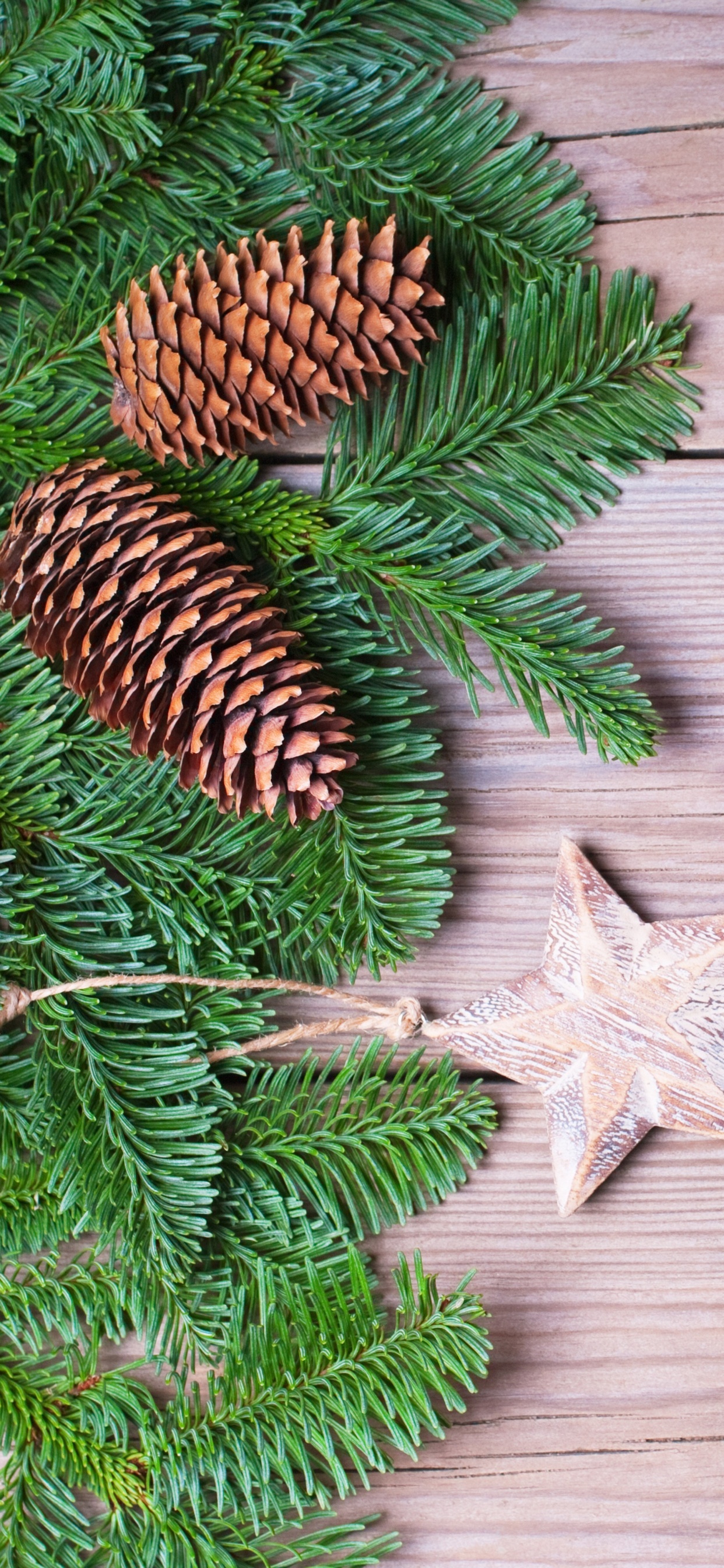 Green Pine Tree Leaves on Brown Wooden Floor. Wallpaper in 1242x2688 Resolution