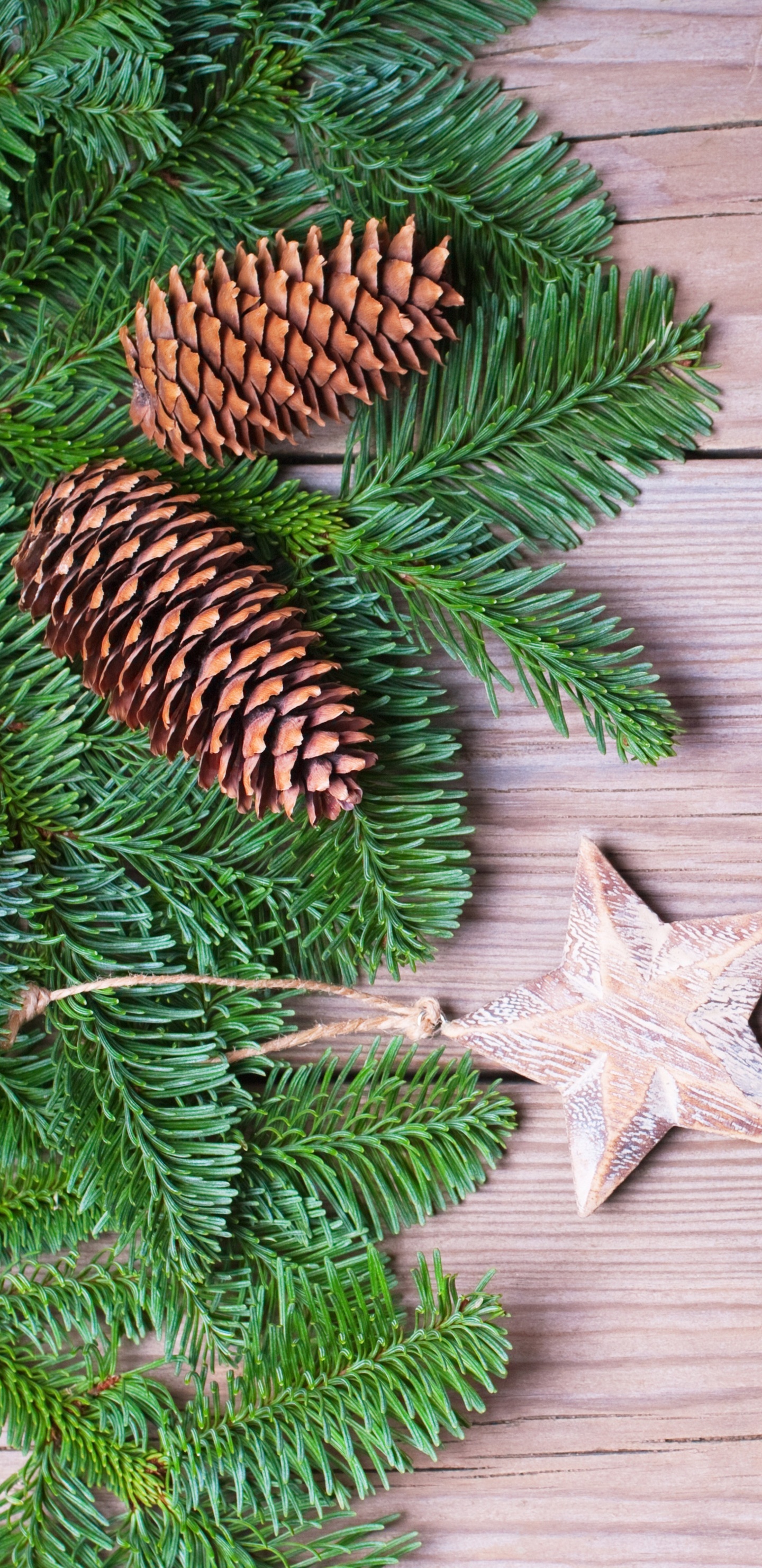 Green Pine Tree Leaves on Brown Wooden Floor. Wallpaper in 1440x2960 Resolution