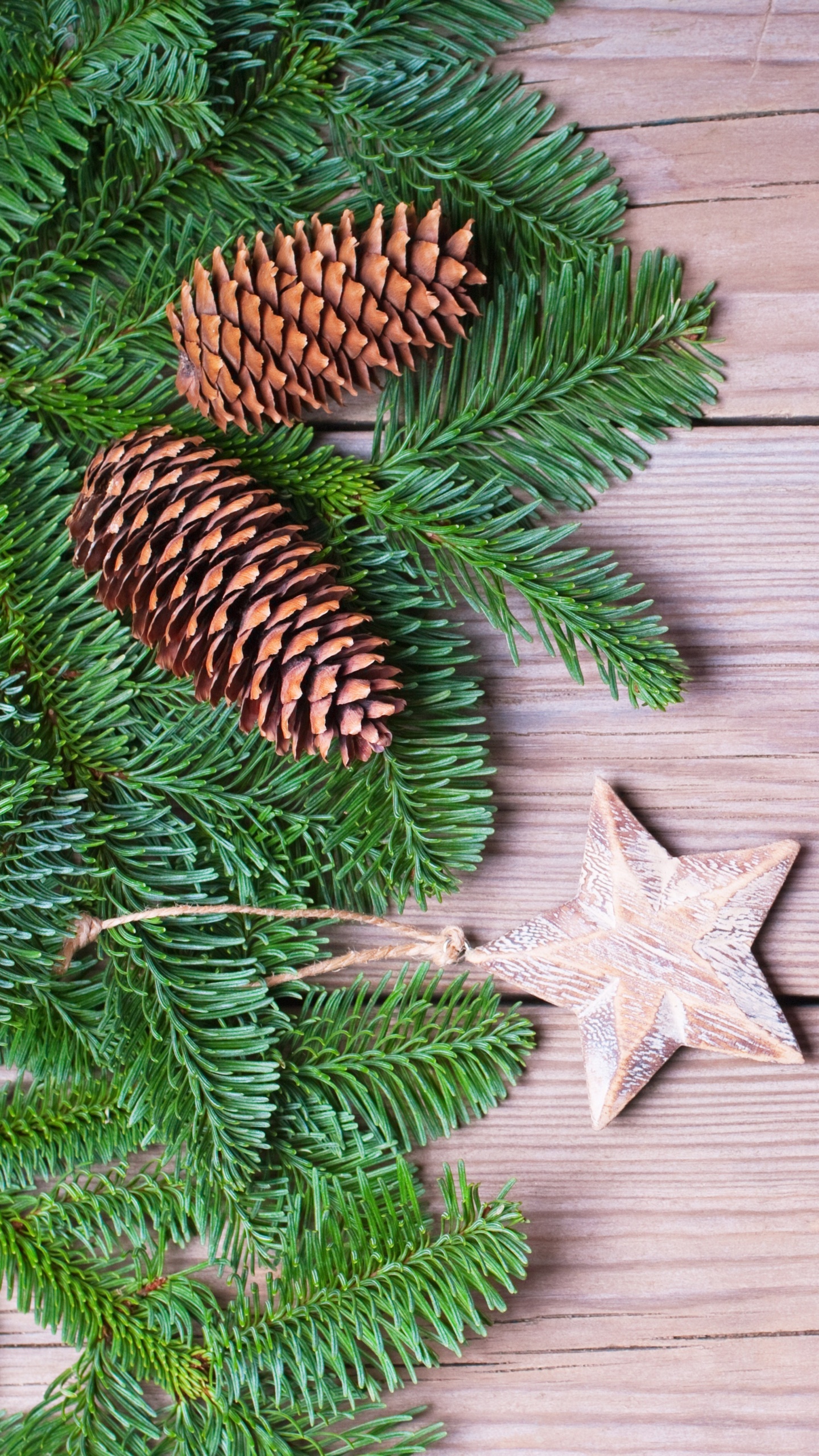Feuilles de Pin Vert Sur Plancher en Bois Marron. Wallpaper in 1440x2560 Resolution