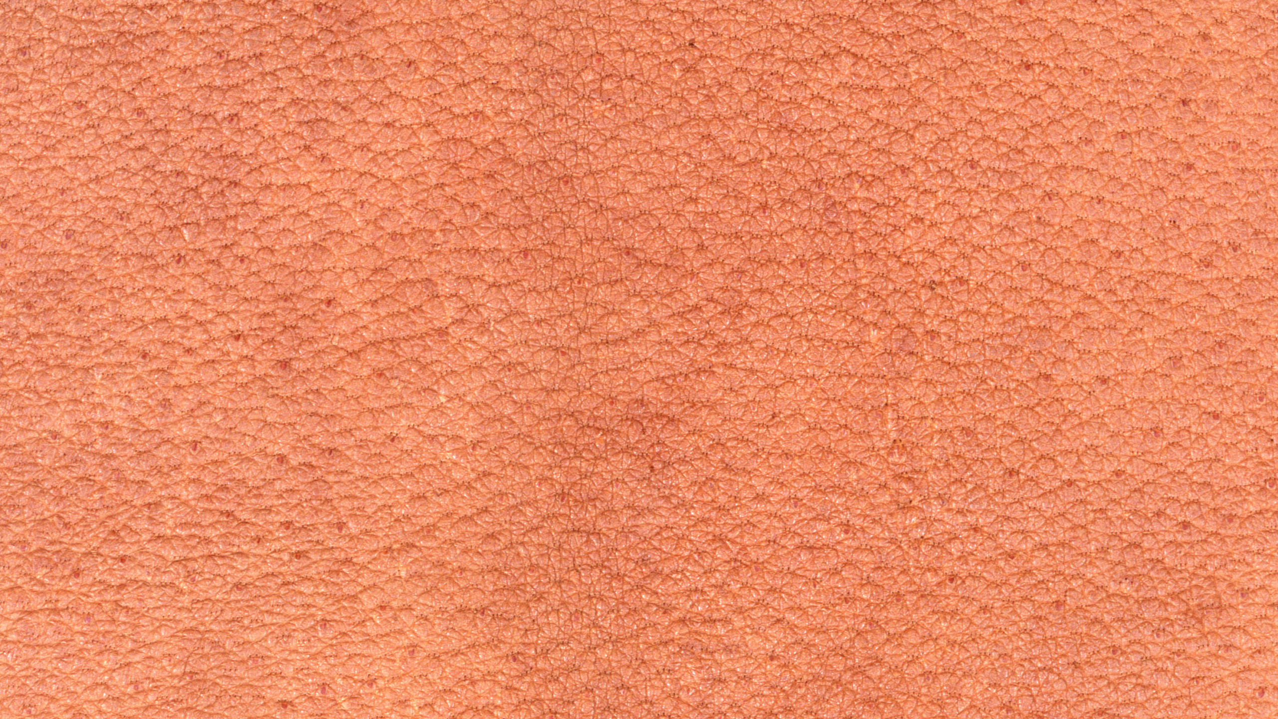 Textile Orange en Photographie Rapprochée. Wallpaper in 2560x1440 Resolution