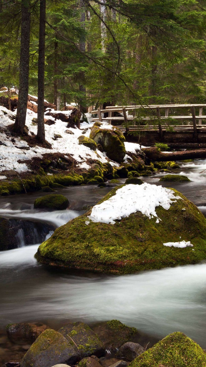 Water Falls With Brown Wooden Bridge. Wallpaper in 720x1280 Resolution