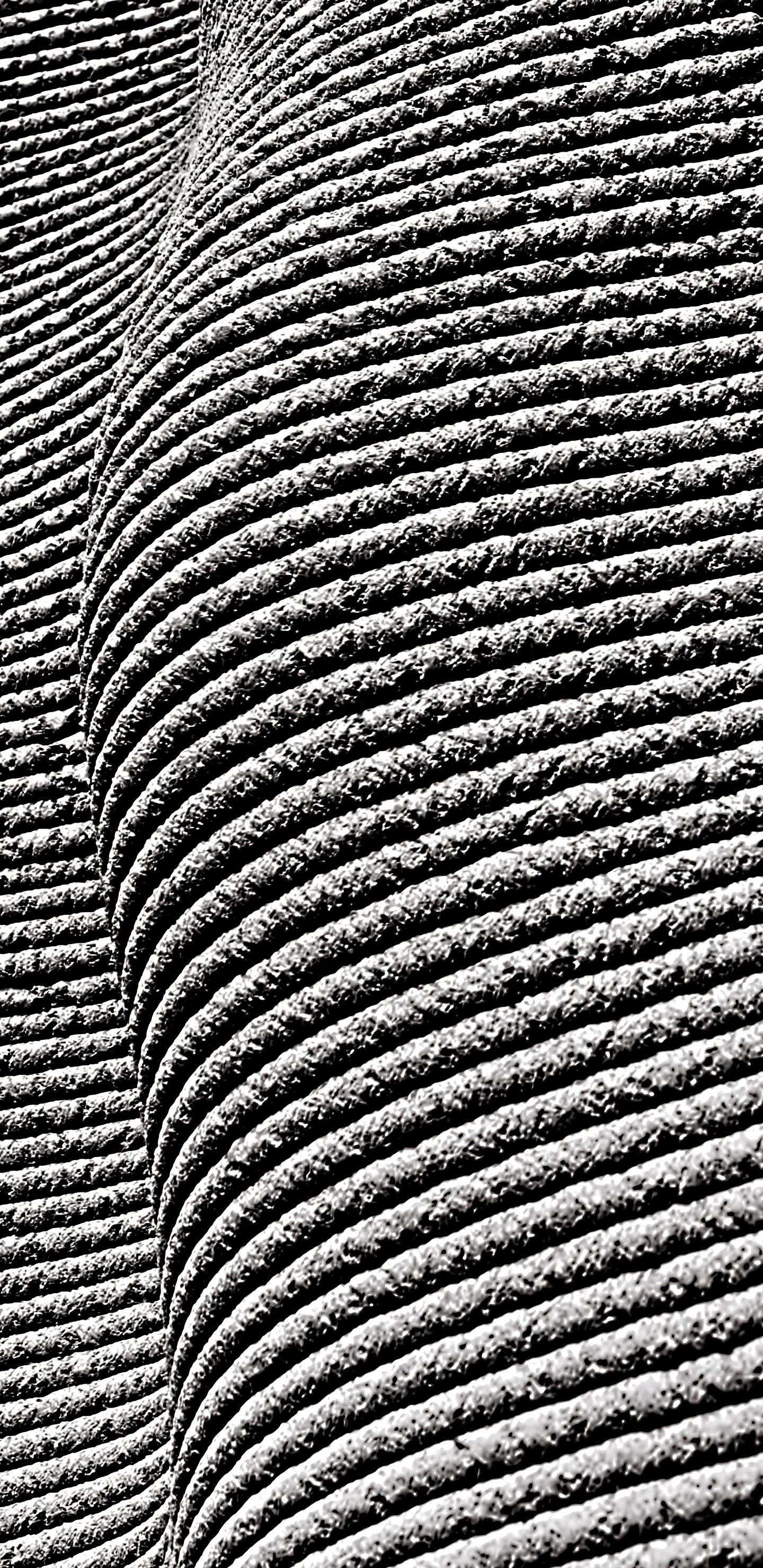 黑色和白色的, 黑色的, 黑色 白色 - M, 对称, 建筑 壁纸 1440x2960 允许