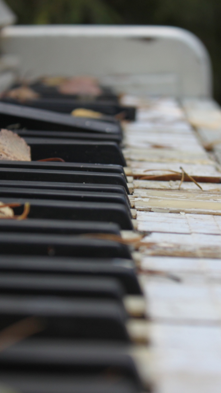 Piano, Teclado, Instrumento Musical, Teclado Musical, Sonido. Wallpaper in 720x1280 Resolution