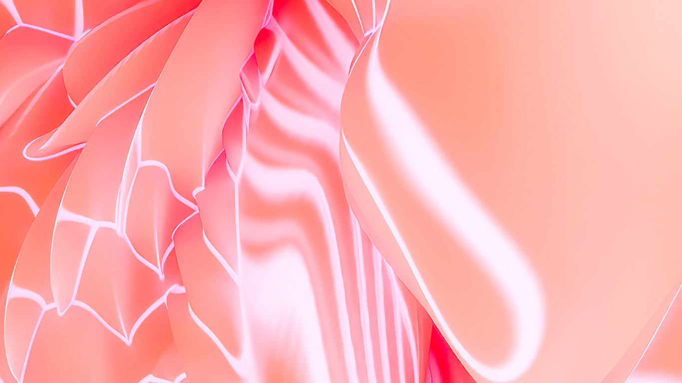 Matemáticas, Textil, Pétalo, Manga, Rosa. Wallpaper in 1366x768 Resolution