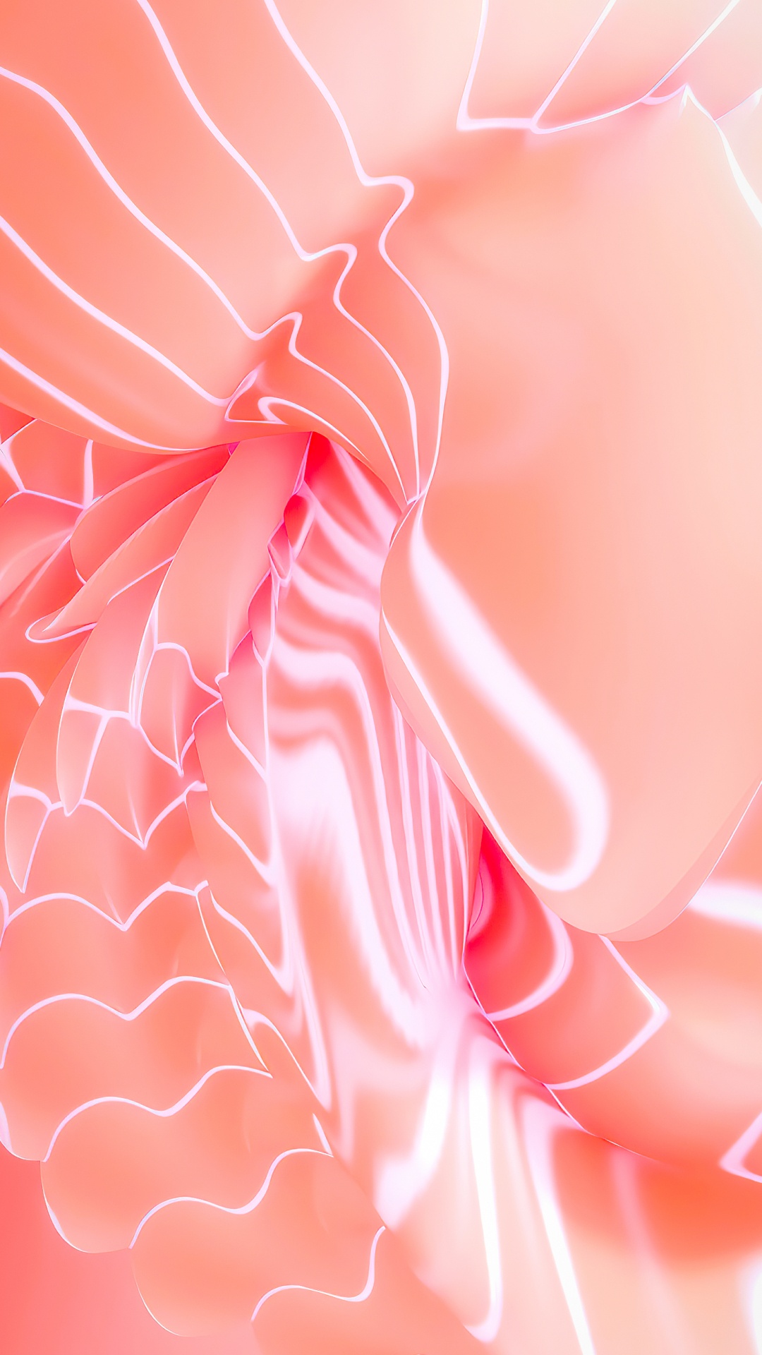 Mathématique, Textile, Pétale, Manche, Pink. Wallpaper in 1080x1920 Resolution