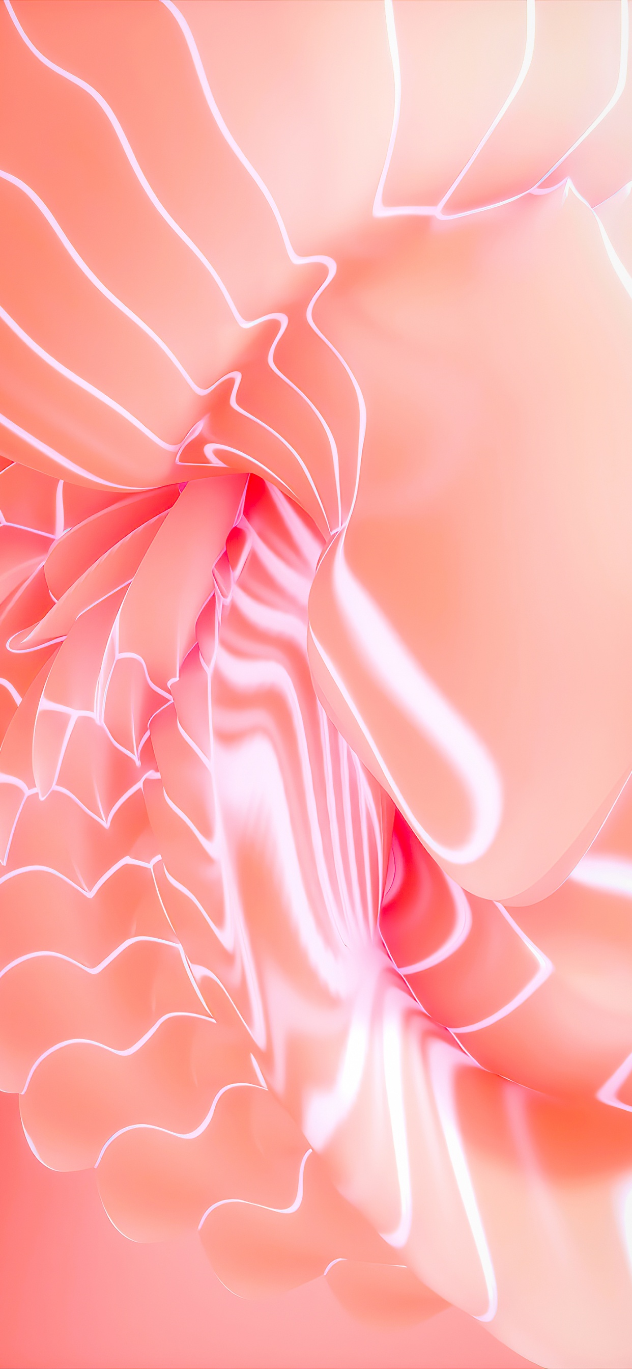 Mathématique, Textile, Pétale, Manche, Pink. Wallpaper in 1242x2688 Resolution