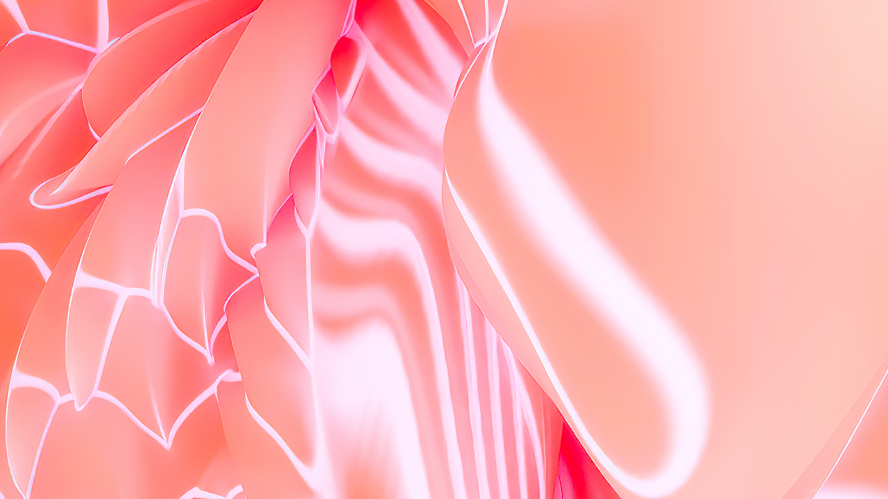 Mathématique, Textile, Pétale, Manche, Pink. Wallpaper in 1280x720 Resolution