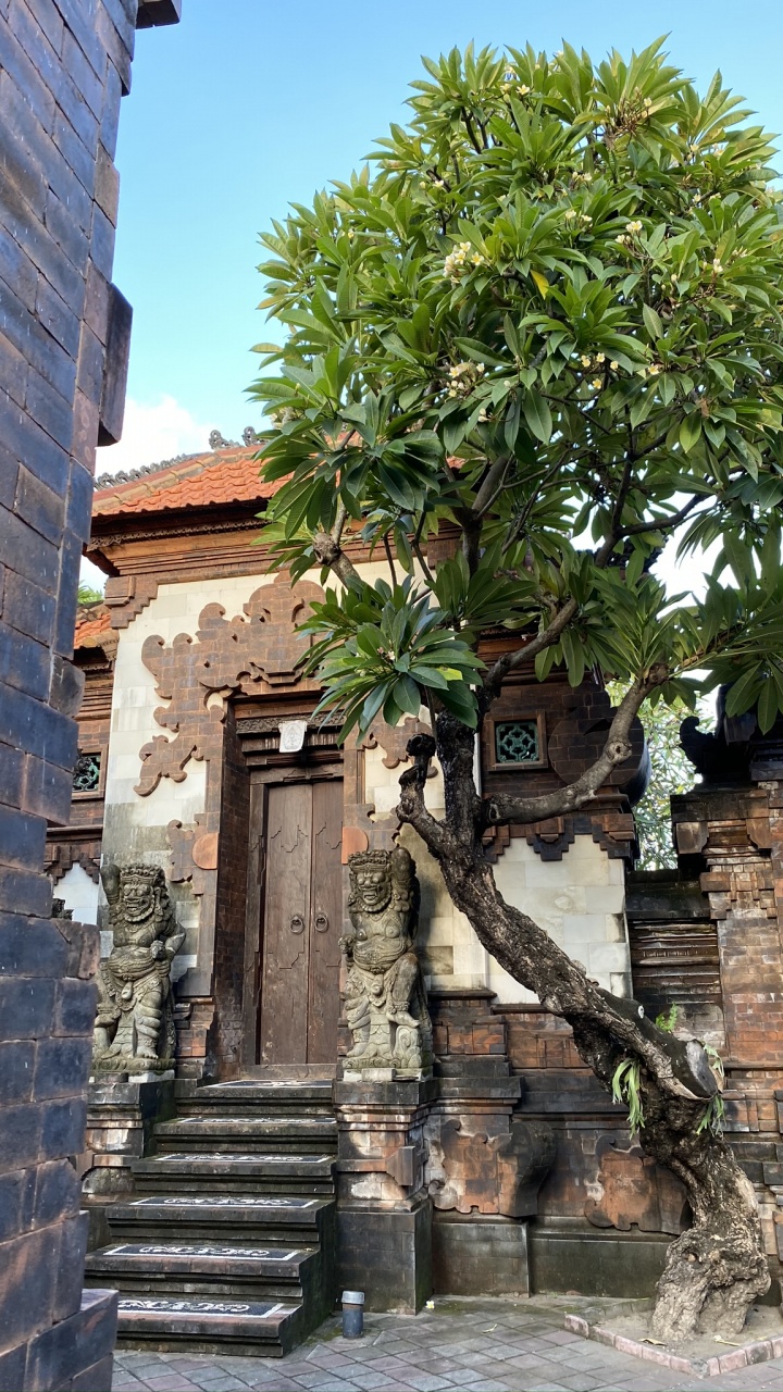 Tree, Faade, Ancient History, Brick, Stairs. Wallpaper in 720x1280 Resolution