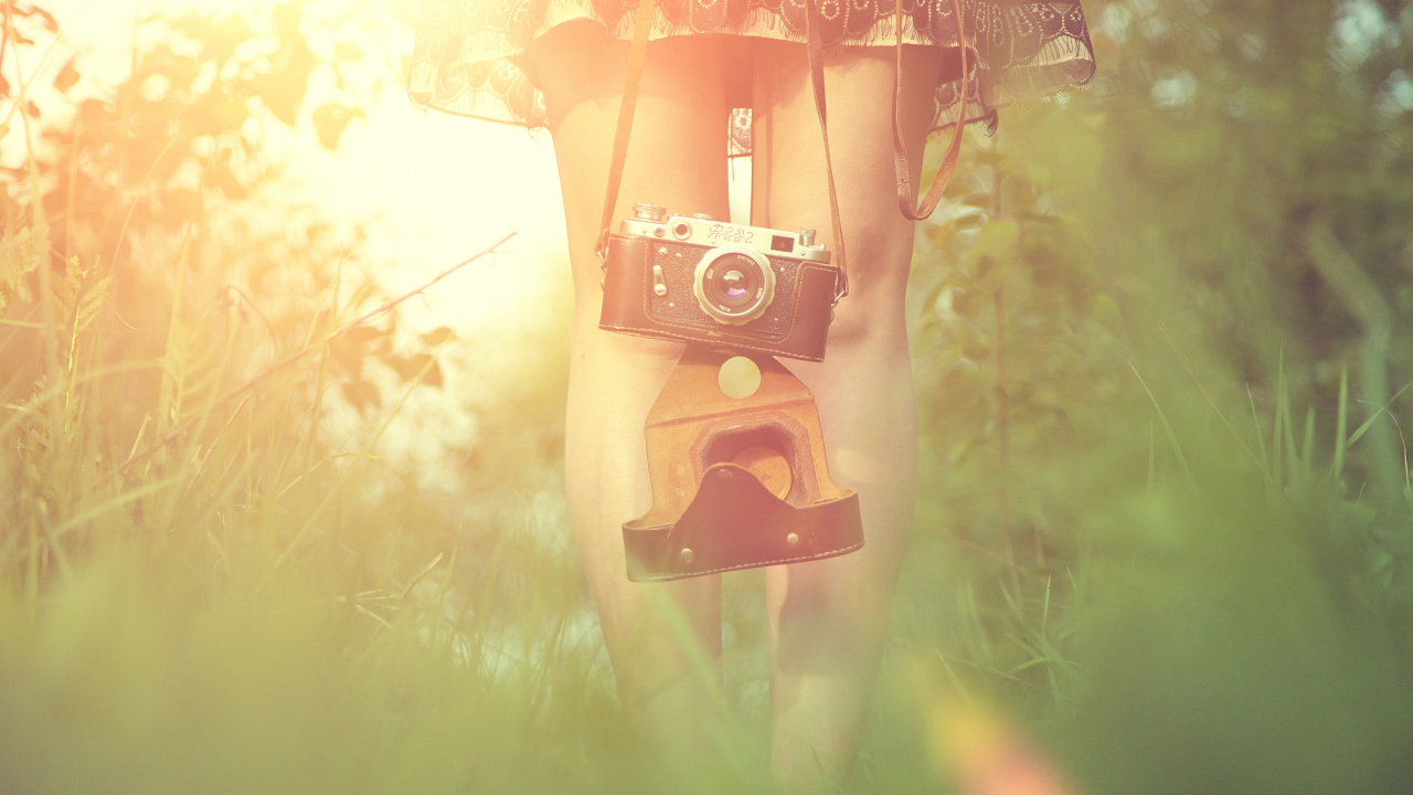 Braune Und Rote Hundehütte Aus Holz. Wallpaper in 1280x720 Resolution