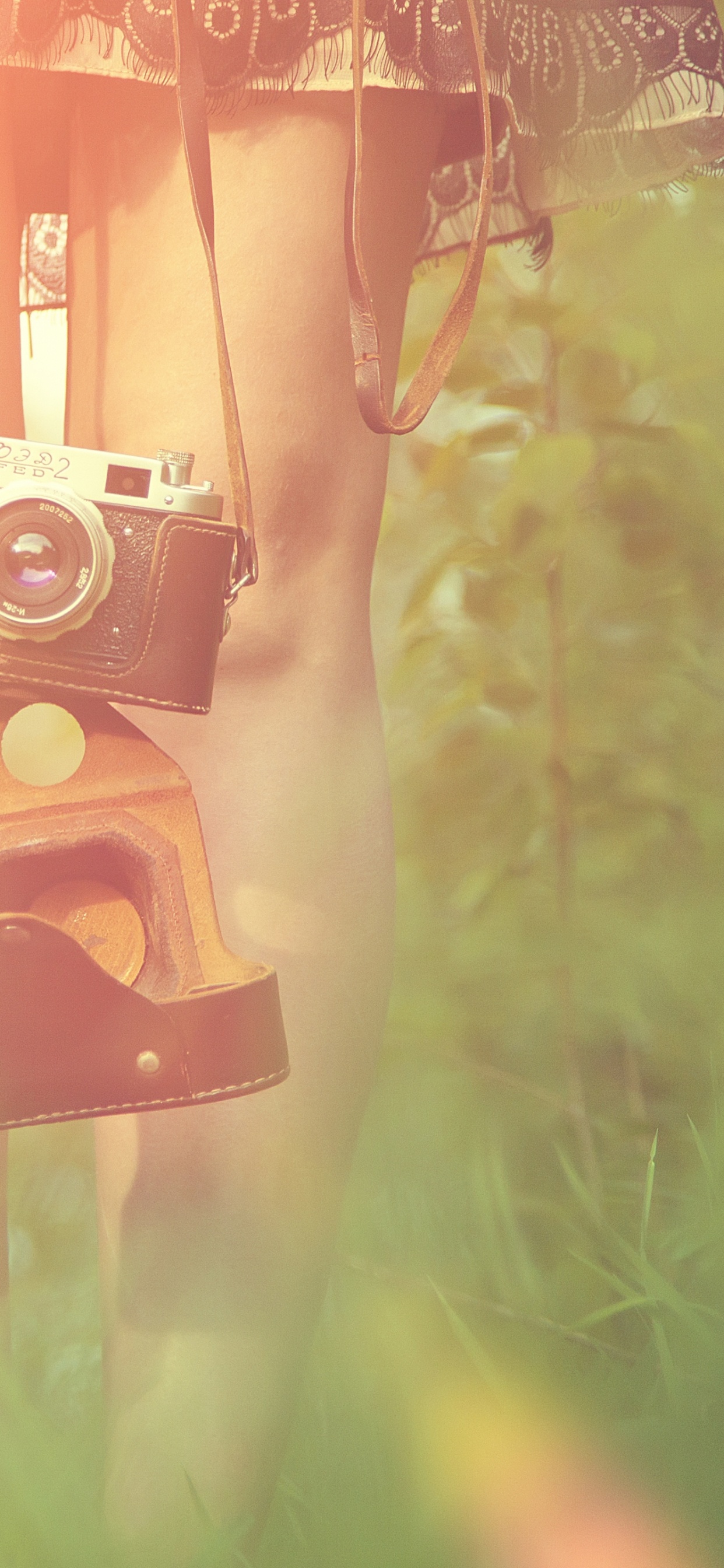 Brown and Red Wooden Dog House. Wallpaper in 1242x2688 Resolution
