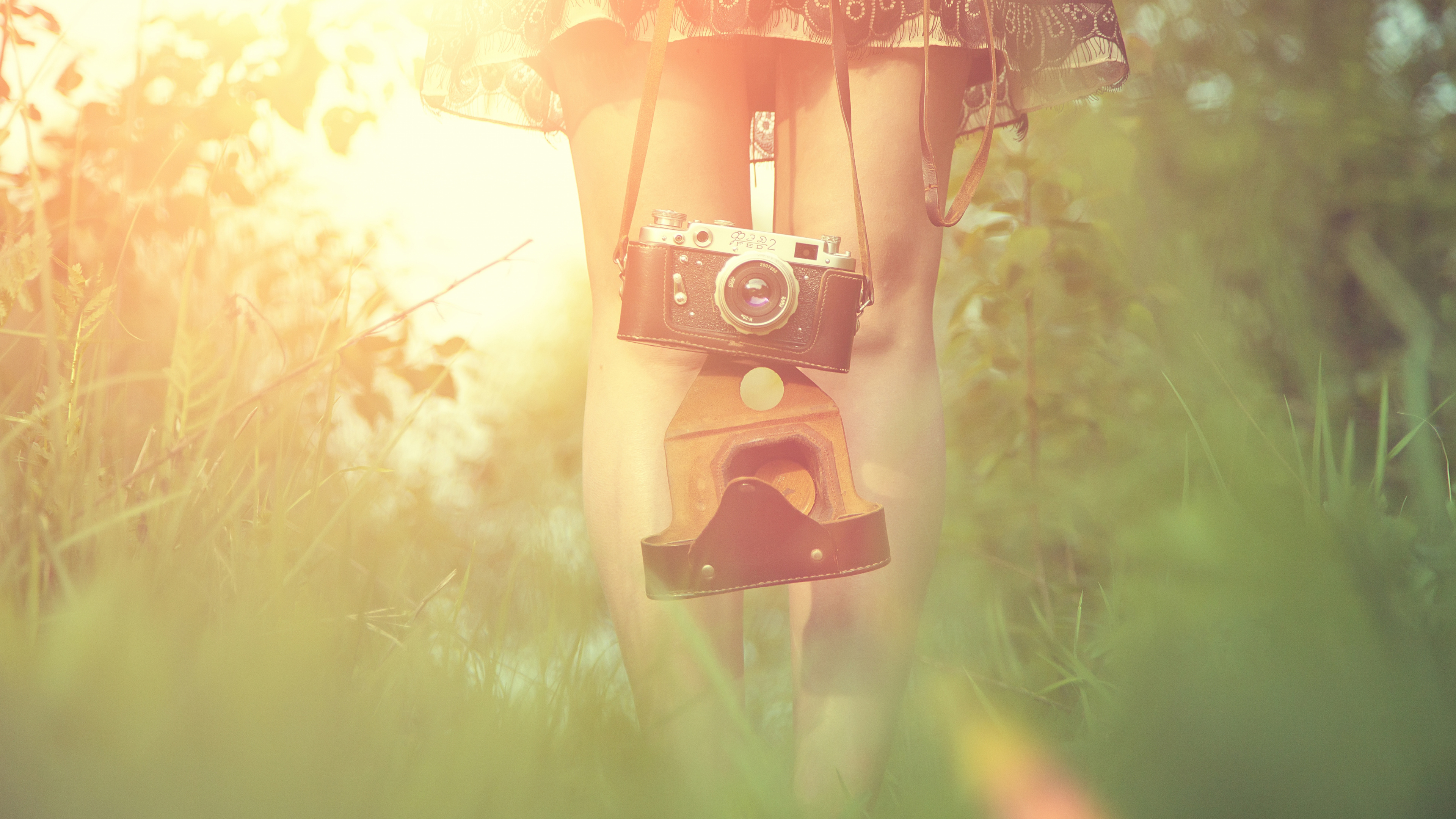 Brown and Red Wooden Dog House. Wallpaper in 3840x2160 Resolution