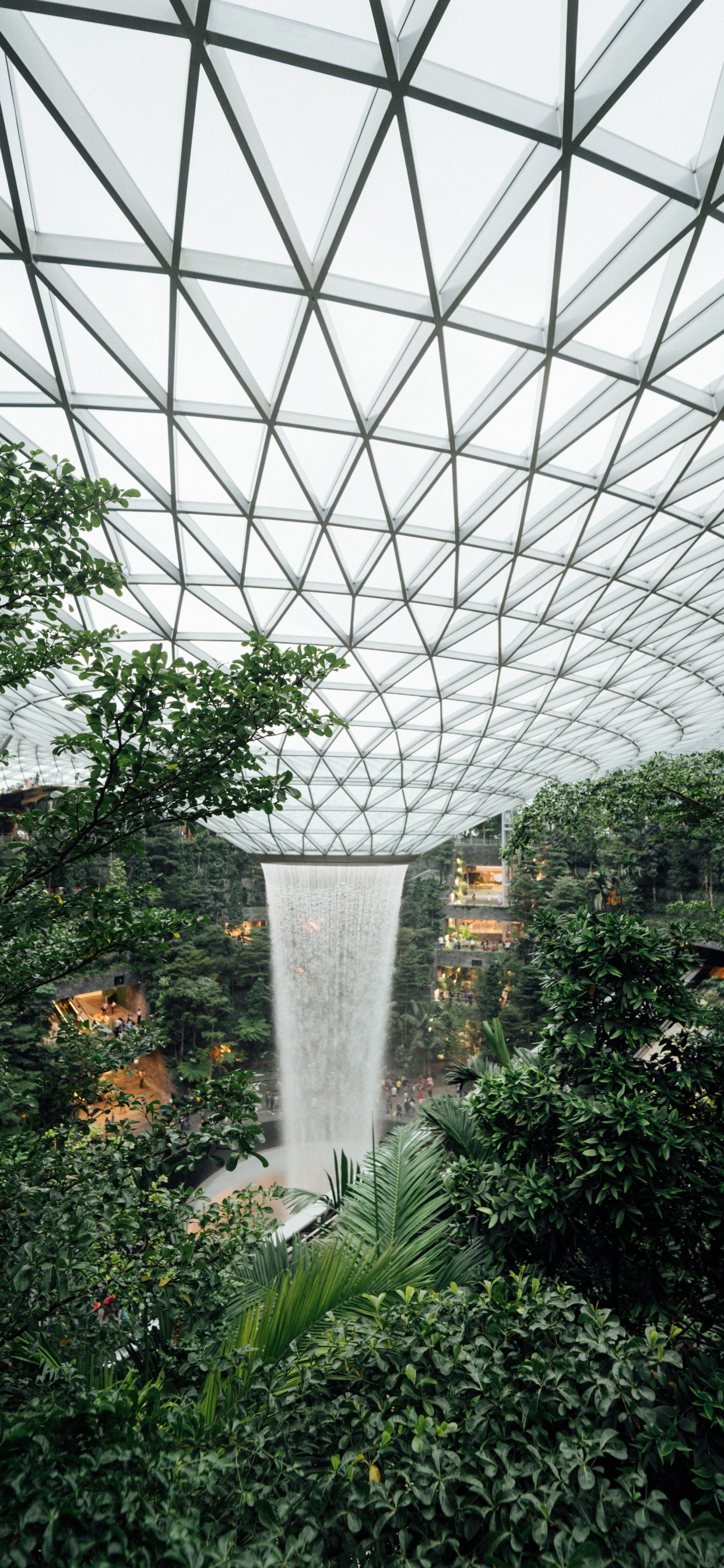 Green Trees and Plants Under White Metal Roof. Wallpaper in 1242x2688 Resolution