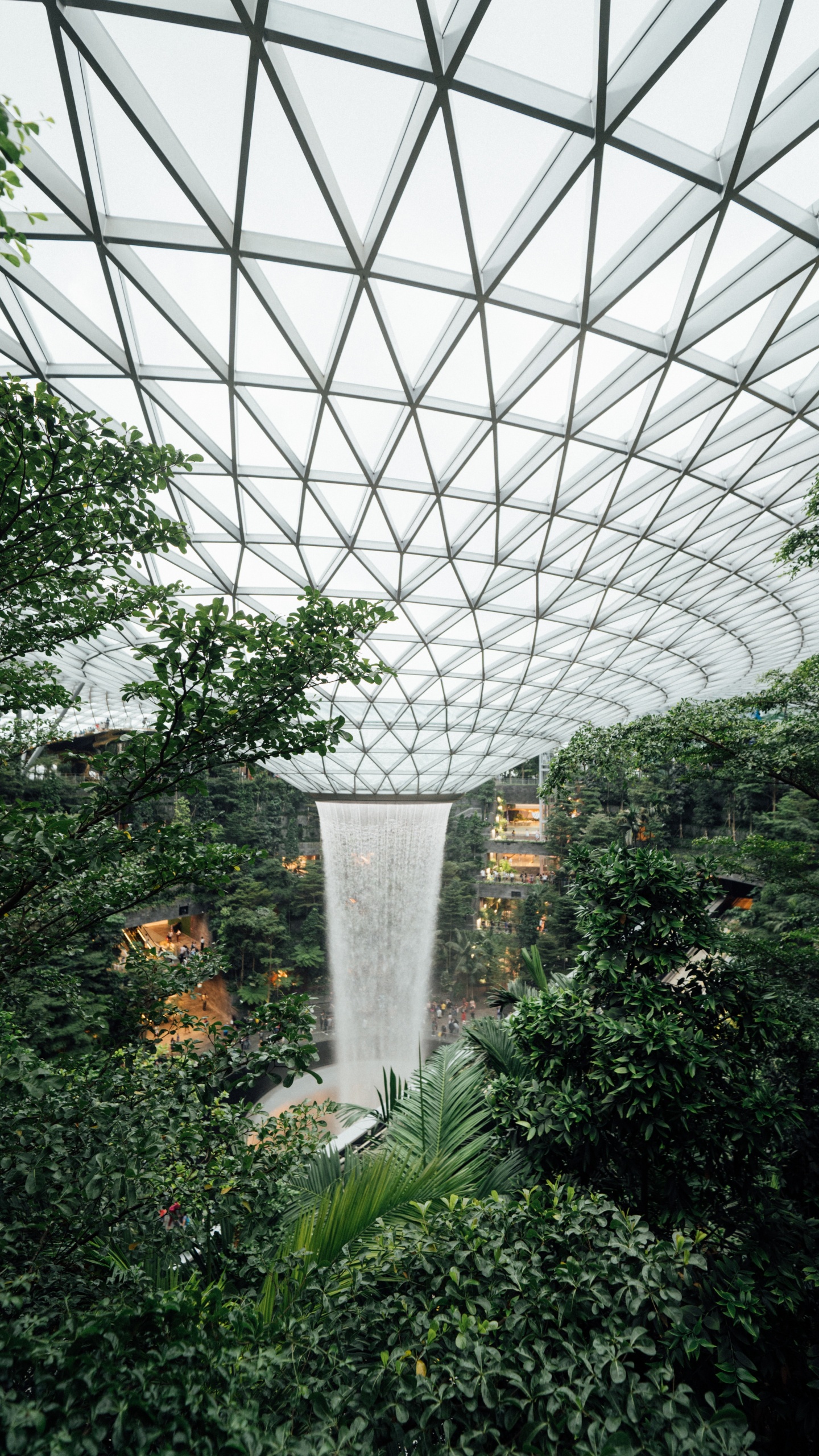 Green Trees and Plants Under White Metal Roof. Wallpaper in 1440x2560 Resolution
