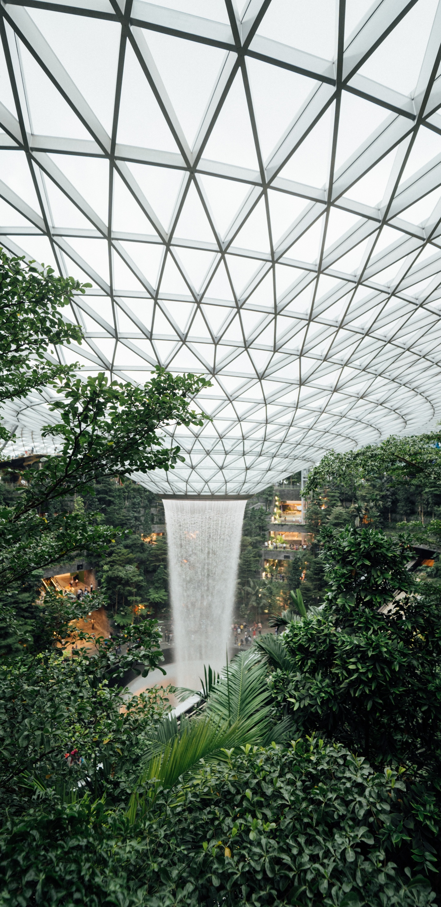 Green Trees and Plants Under White Metal Roof. Wallpaper in 1440x2960 Resolution