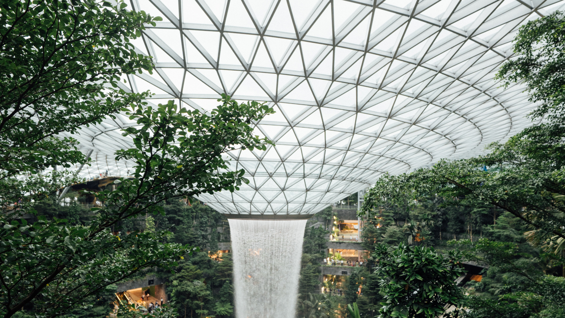 Green Trees and Plants Under White Metal Roof. Wallpaper in 1920x1080 Resolution