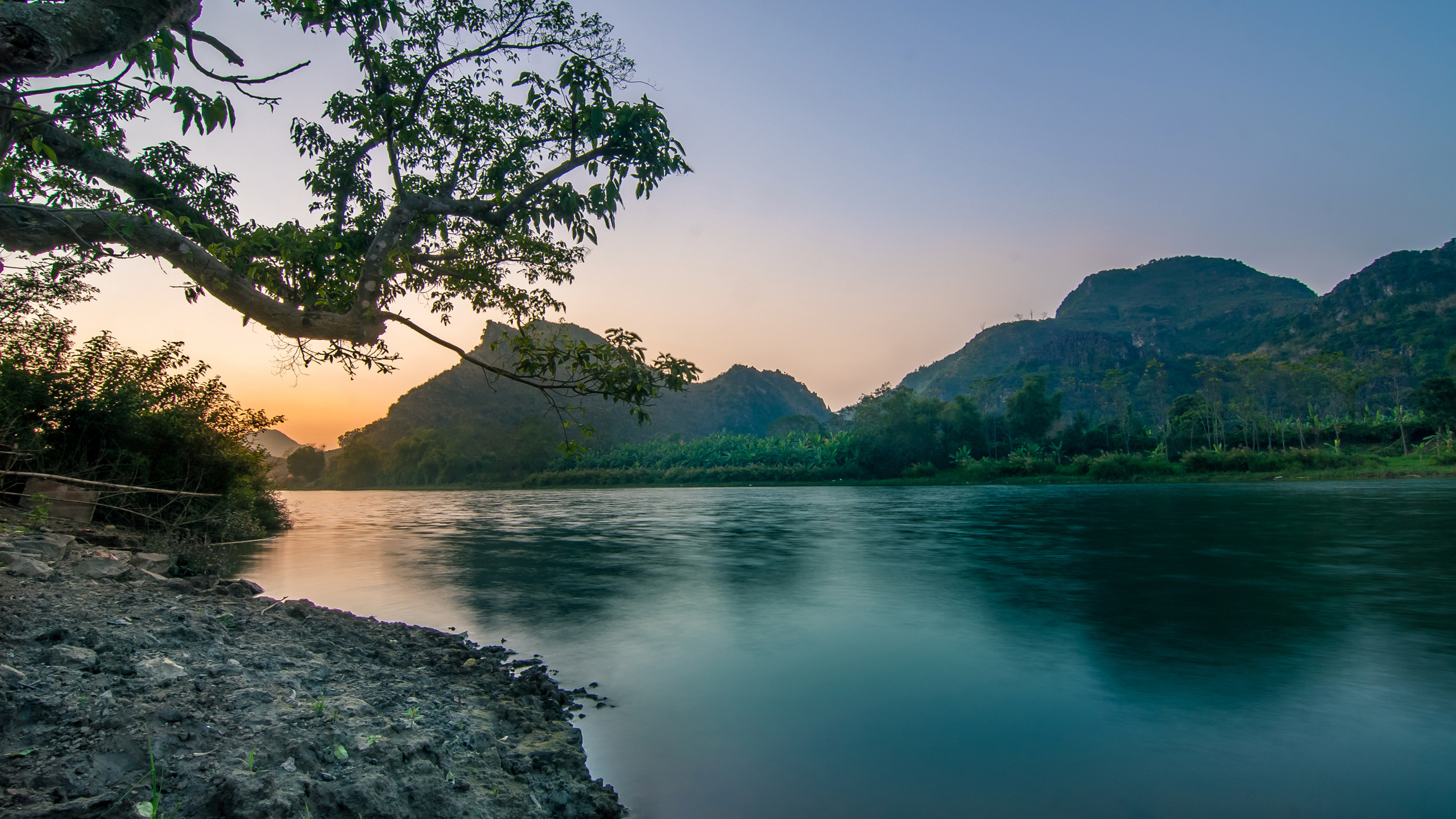 Arbres Verts Près du Plan D'eau Pendant la Journée. Wallpaper in 2560x1440 Resolution