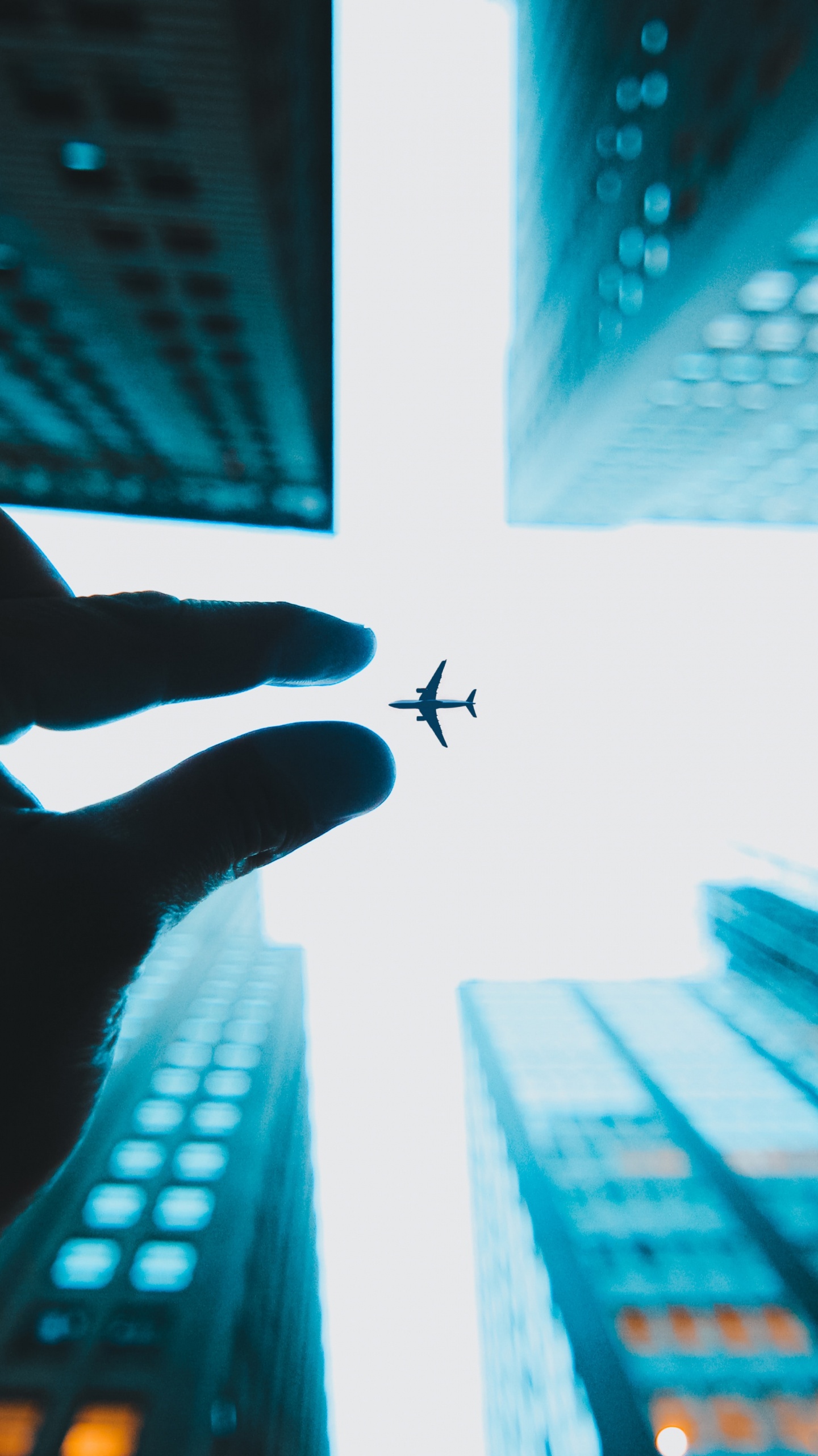 Persona Sosteniendo un Insecto Negro en la Ventana Blanca. Wallpaper in 1440x2560 Resolution