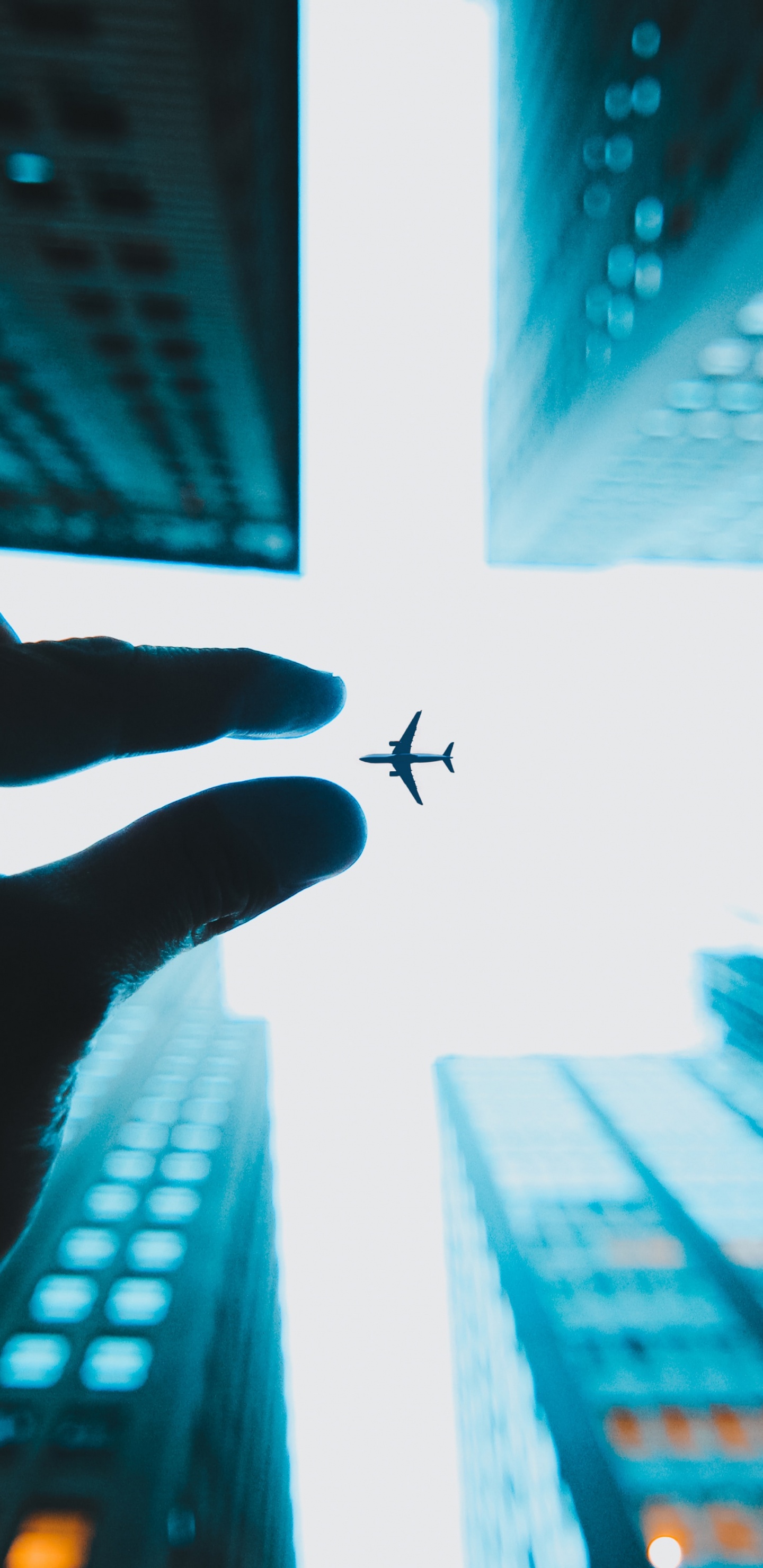 Persona Sosteniendo un Insecto Negro en la Ventana Blanca. Wallpaper in 1440x2960 Resolution