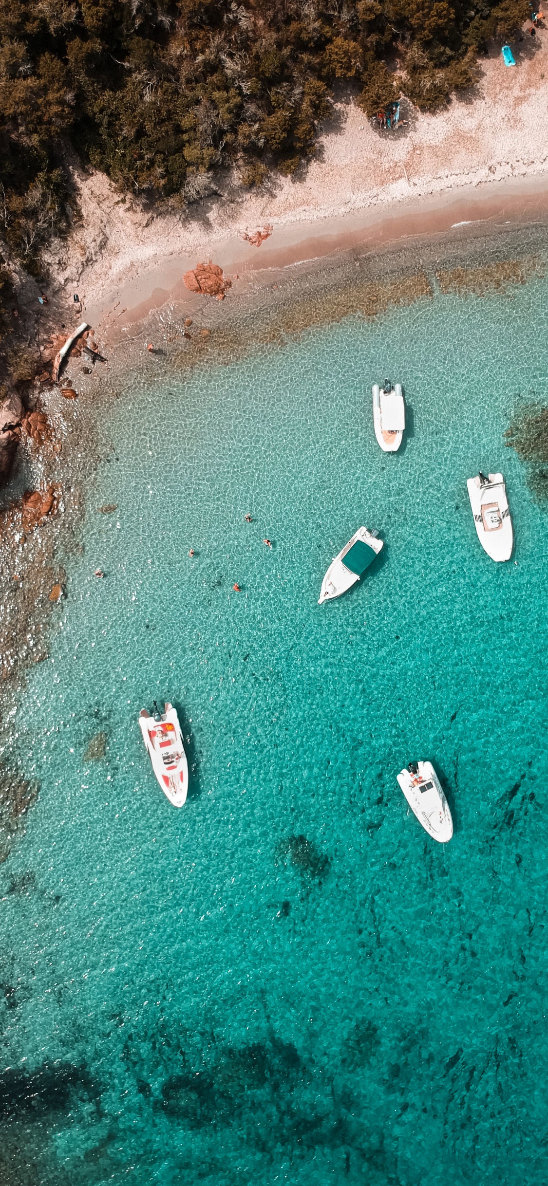 Water, Sea, Biology, Marine Biology, Science. Wallpaper in 1125x2436 Resolution