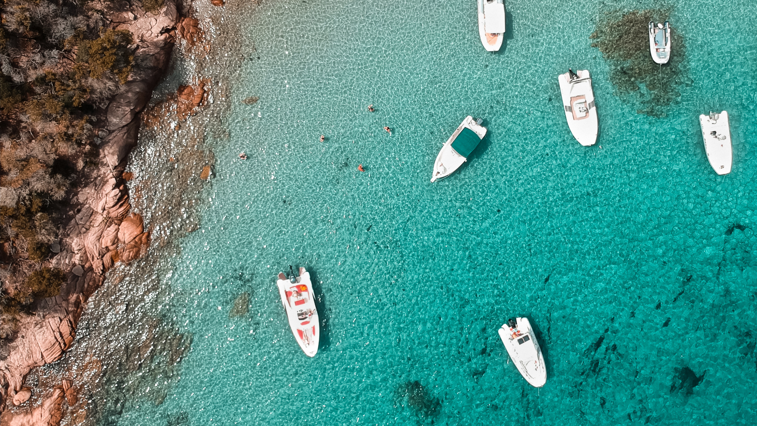 Water, Sea, Biology, Marine Biology, Science. Wallpaper in 2560x1440 Resolution