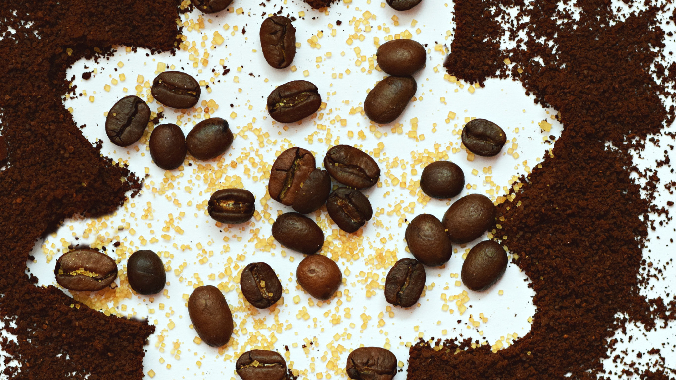 咖啡豆, 食品, 巧克力, 甜点, 巧克力芯片 壁纸 1366x768 允许